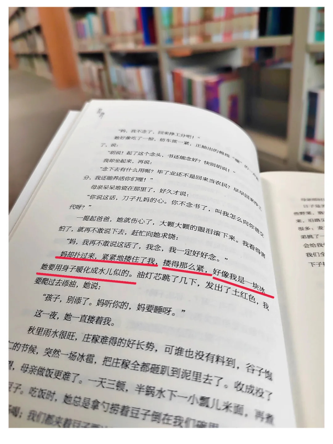 沉浸式阅读•自在独行•贾平凹著
