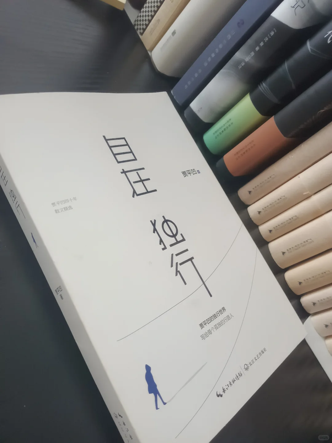 《自在独行》：寻觅内心的宁静与自由💞
