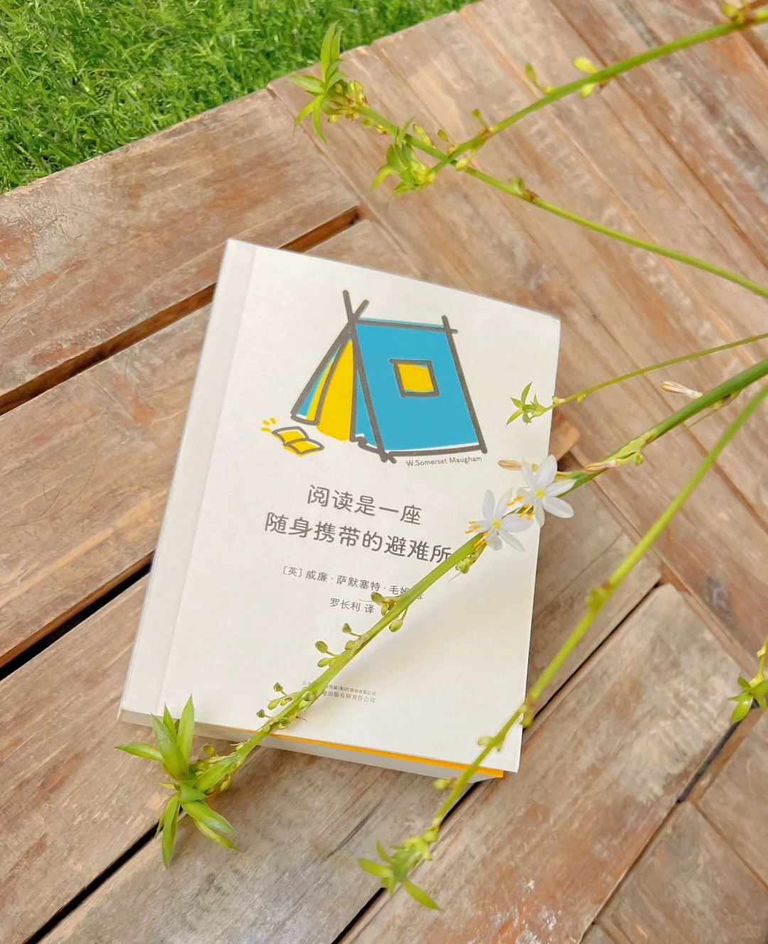 阅读的力量与魅力