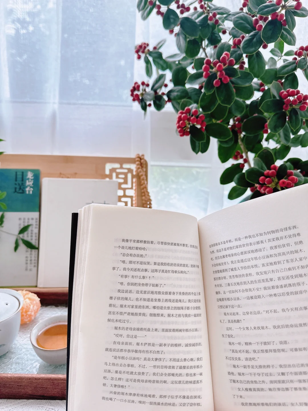 一人、一书、一茶，静谧而美丽