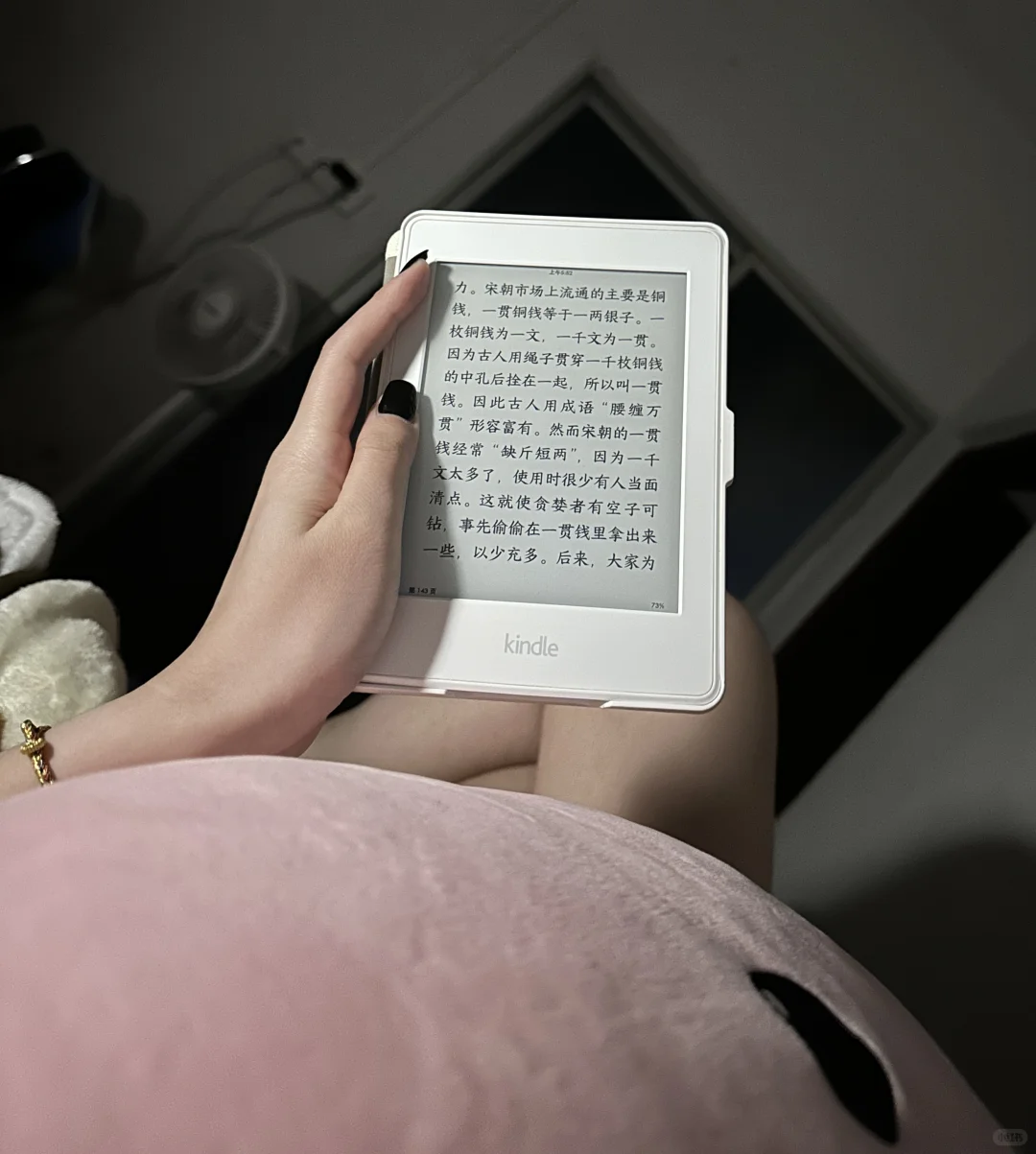 论对电子阅读器能有多迷
