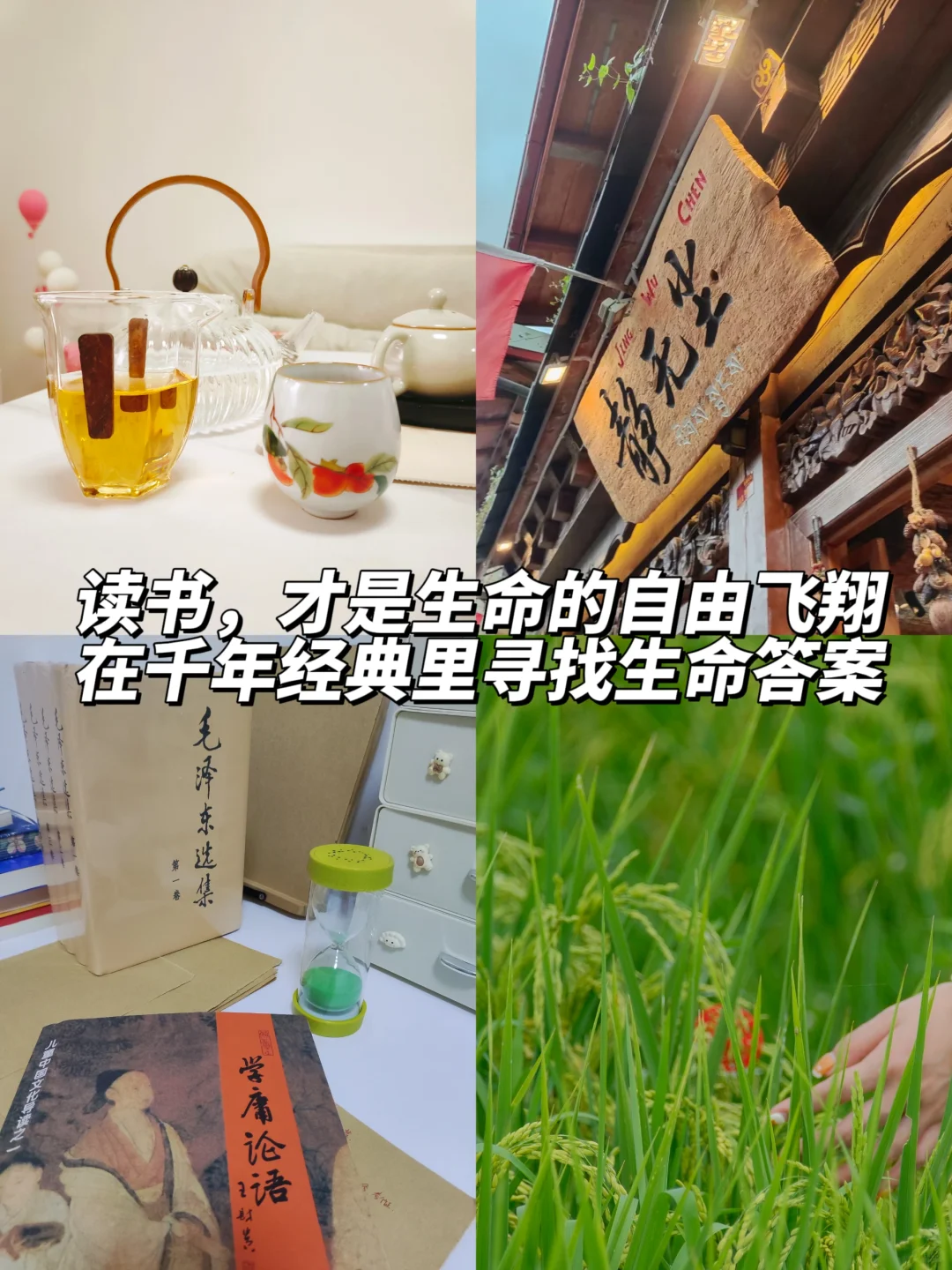 真正爱自由的人，都喜欢读读书📖