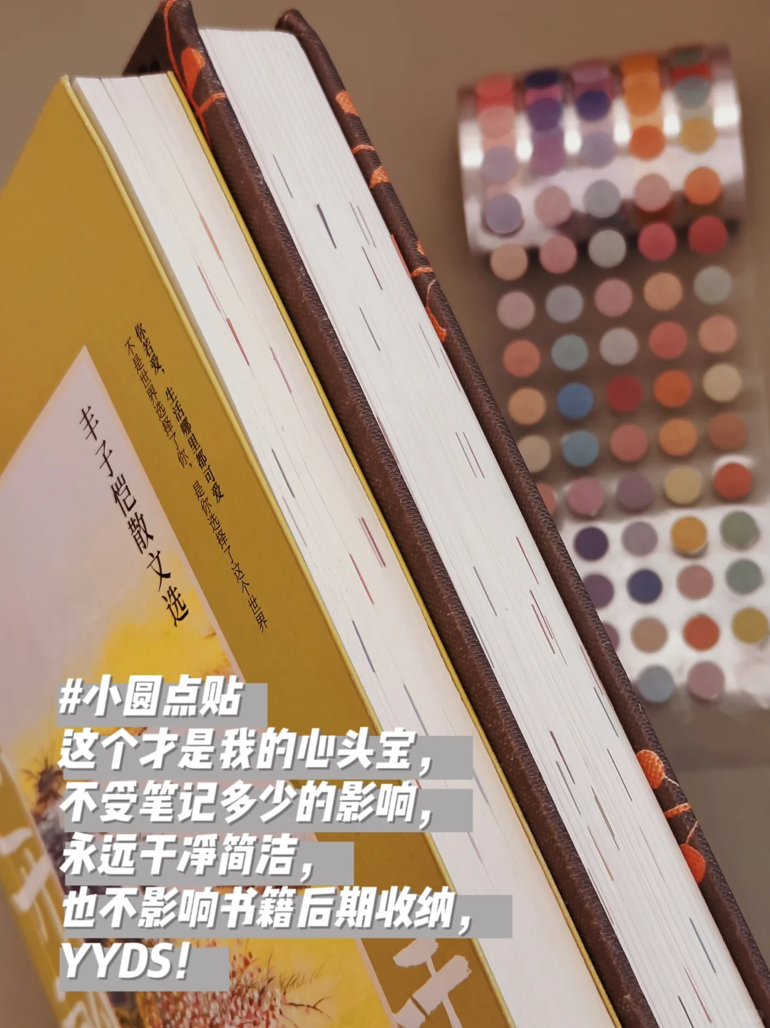 读书好物丨来自一个读书博主的使用心得