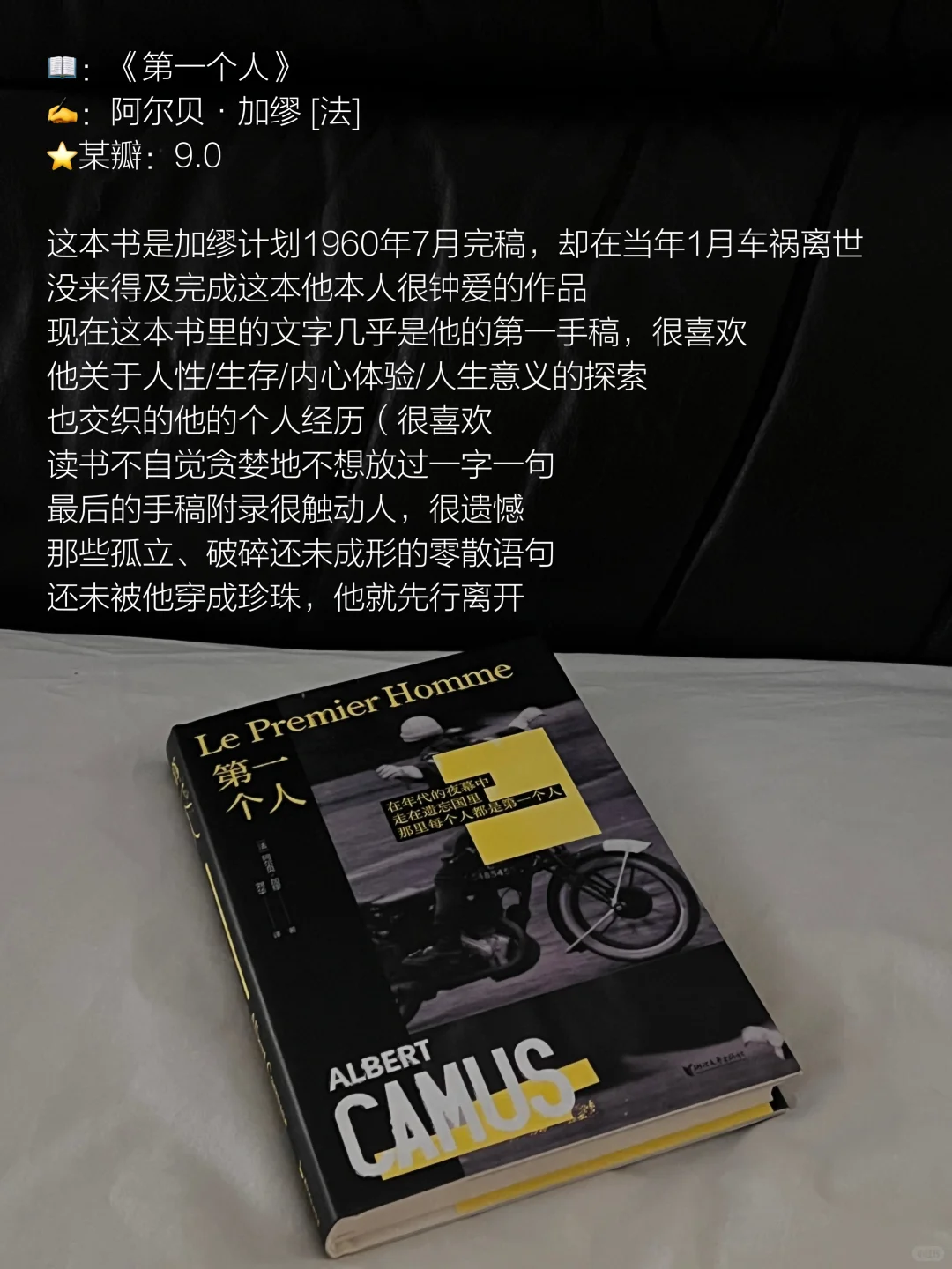 2025上半年读到的仙品（们