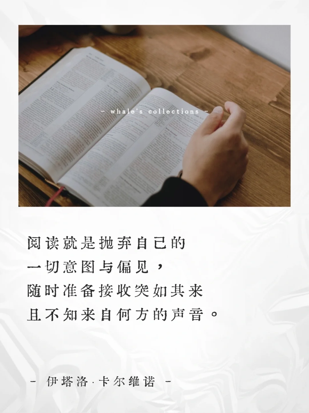 阅读是场孤独中的奇迹📚关于阅读的顶级金句
