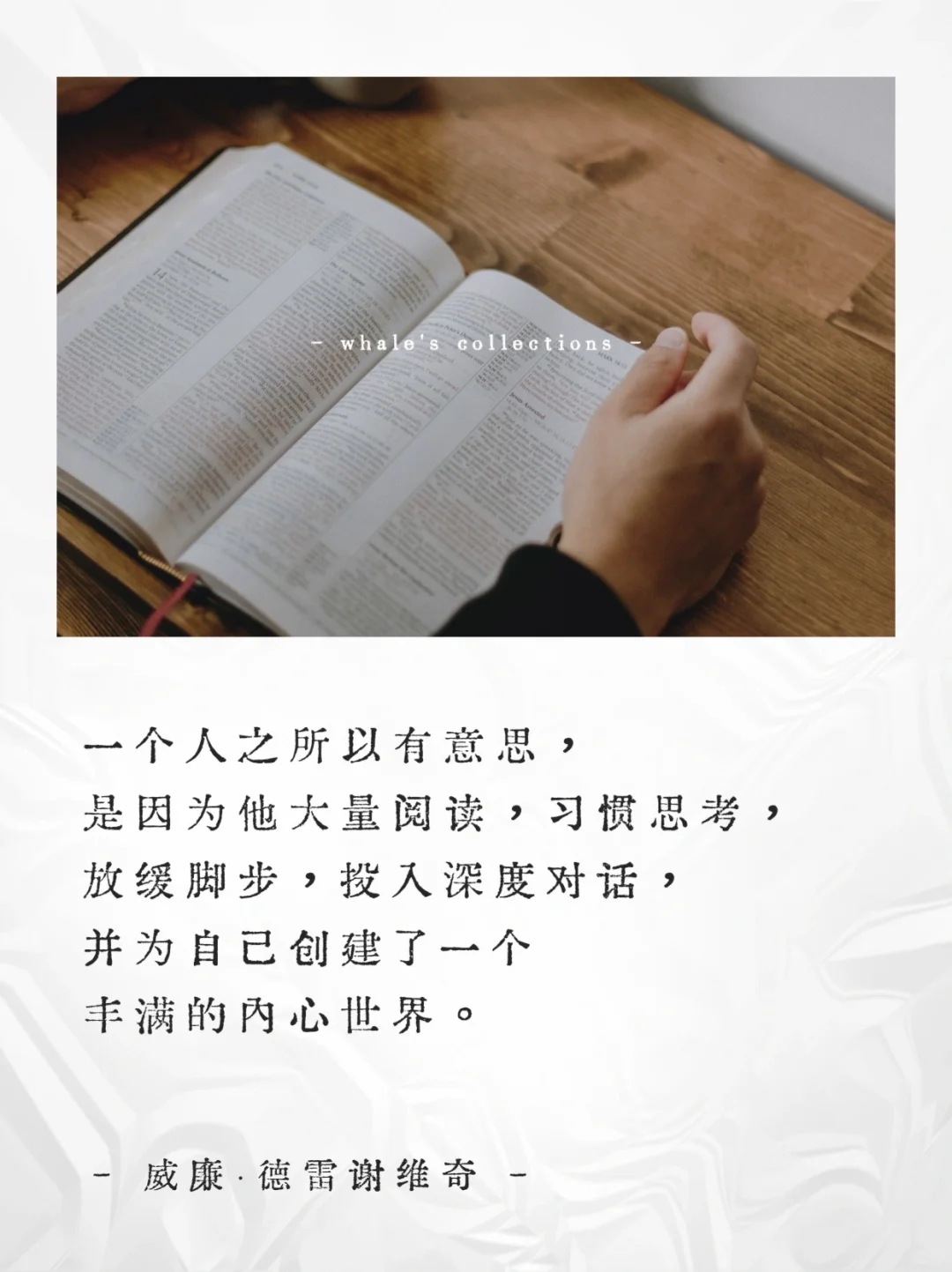 阅读是场孤独中的奇迹📚关于阅读的顶级金句