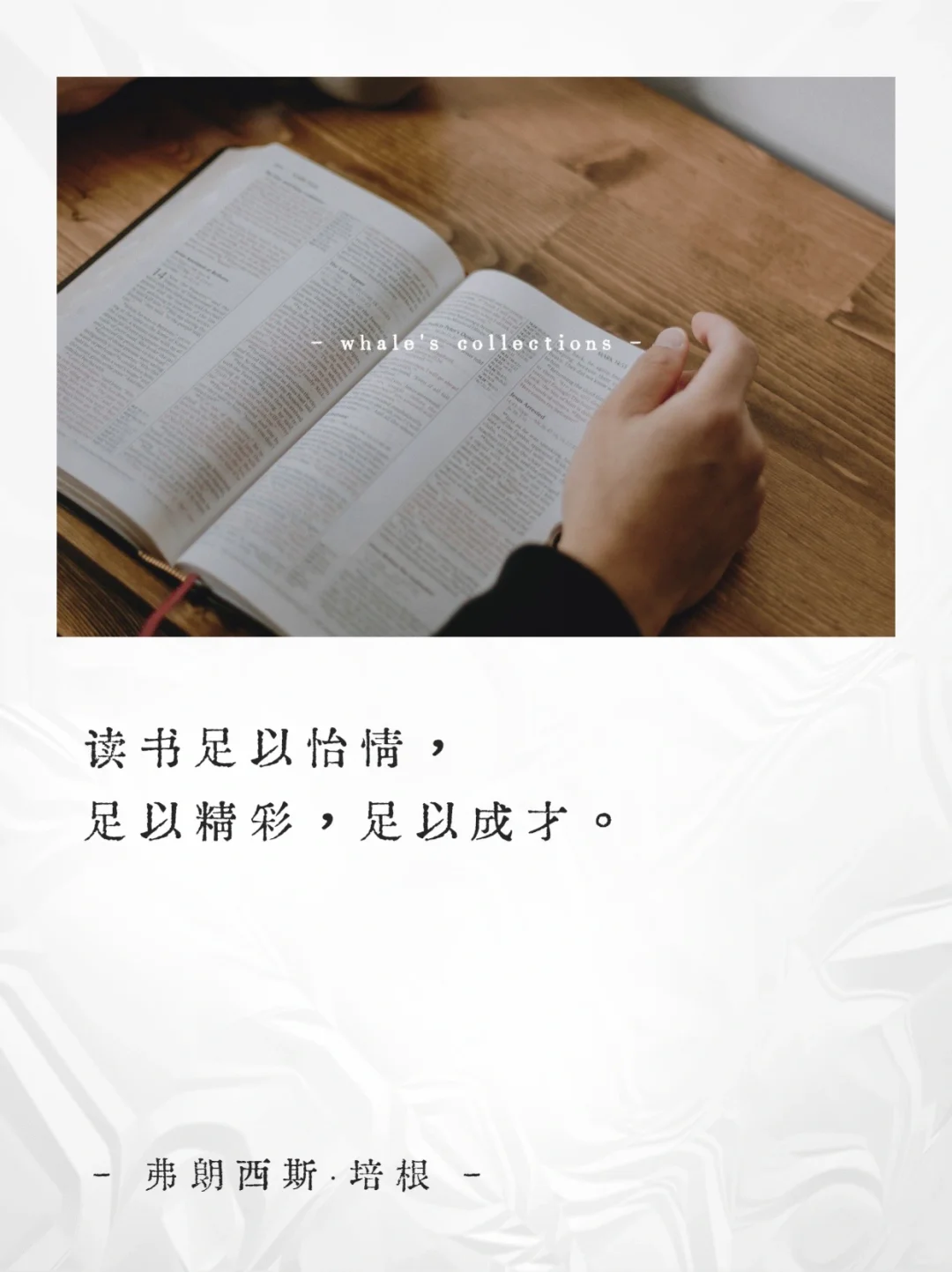 阅读是场孤独中的奇迹📚关于阅读的顶级金句