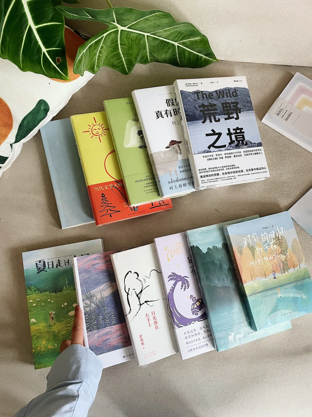 松弛感书单｜世界好像按了暂停键