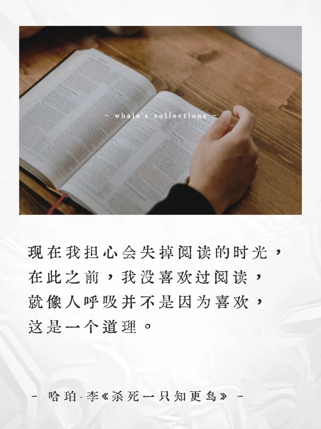 阅读是场孤独中的奇迹📚关于阅读的顶级金句