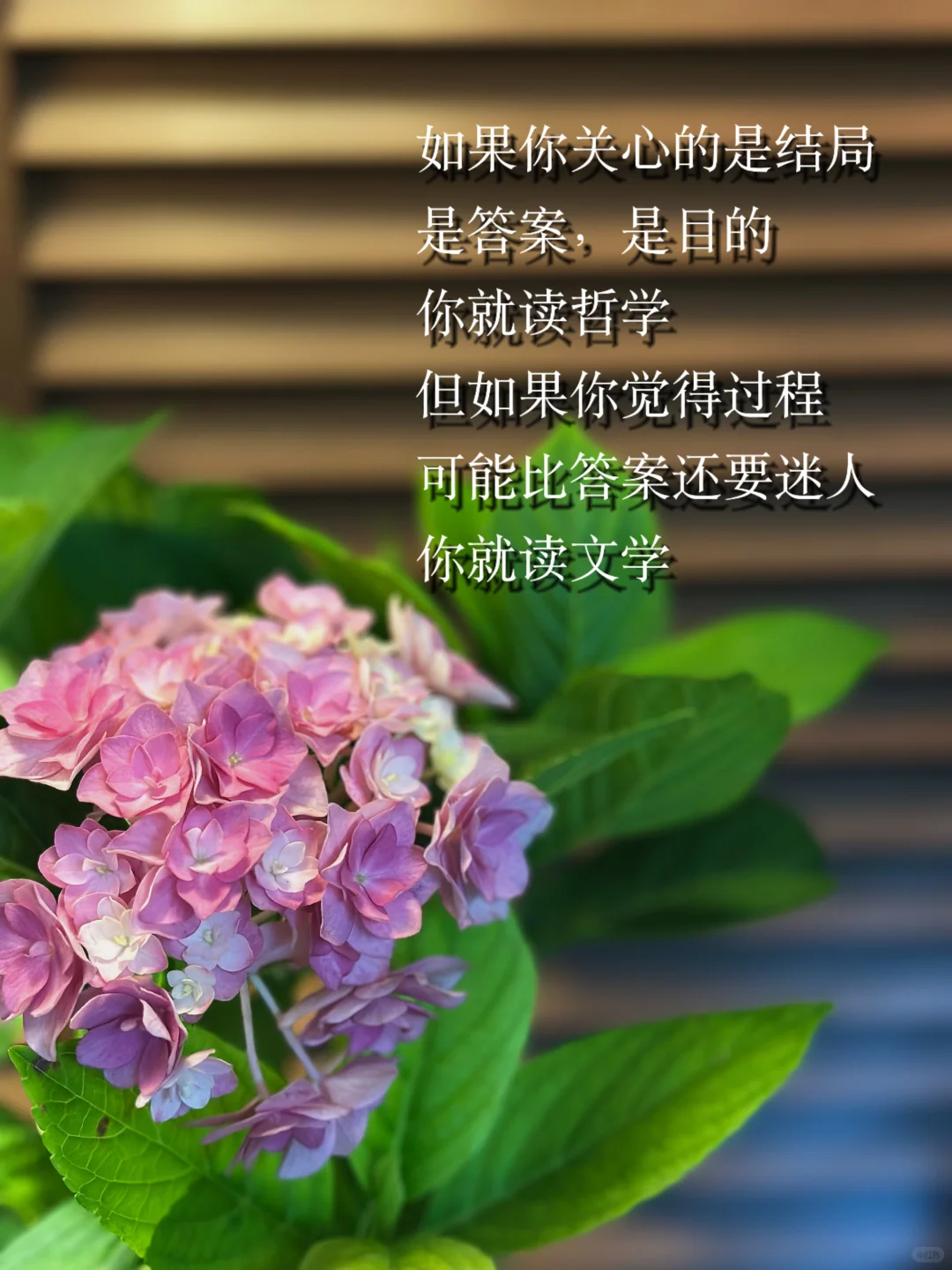 读书本就是自由的，人生处处是书页