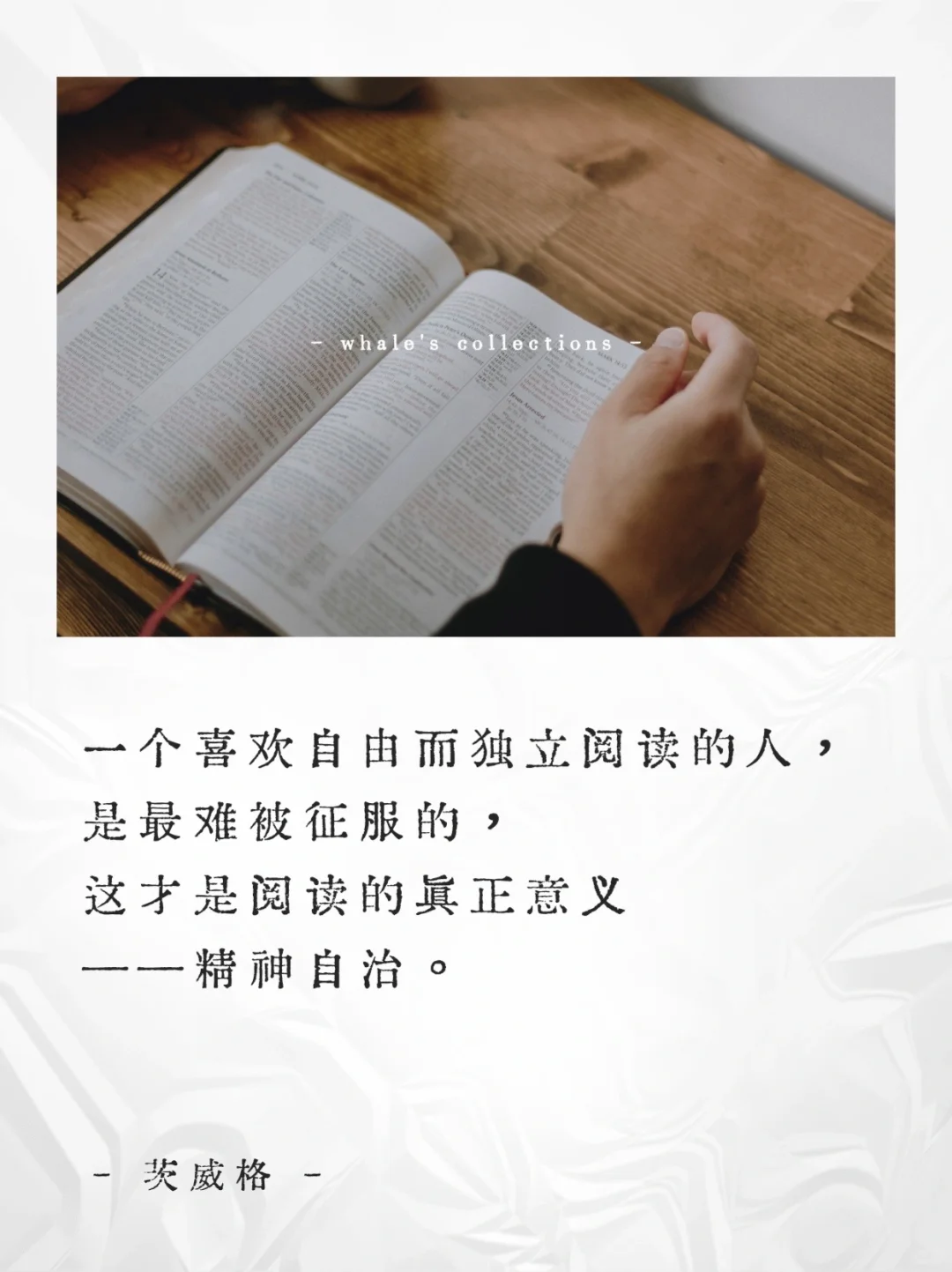 阅读是场孤独中的奇迹📚关于阅读的顶级金句
