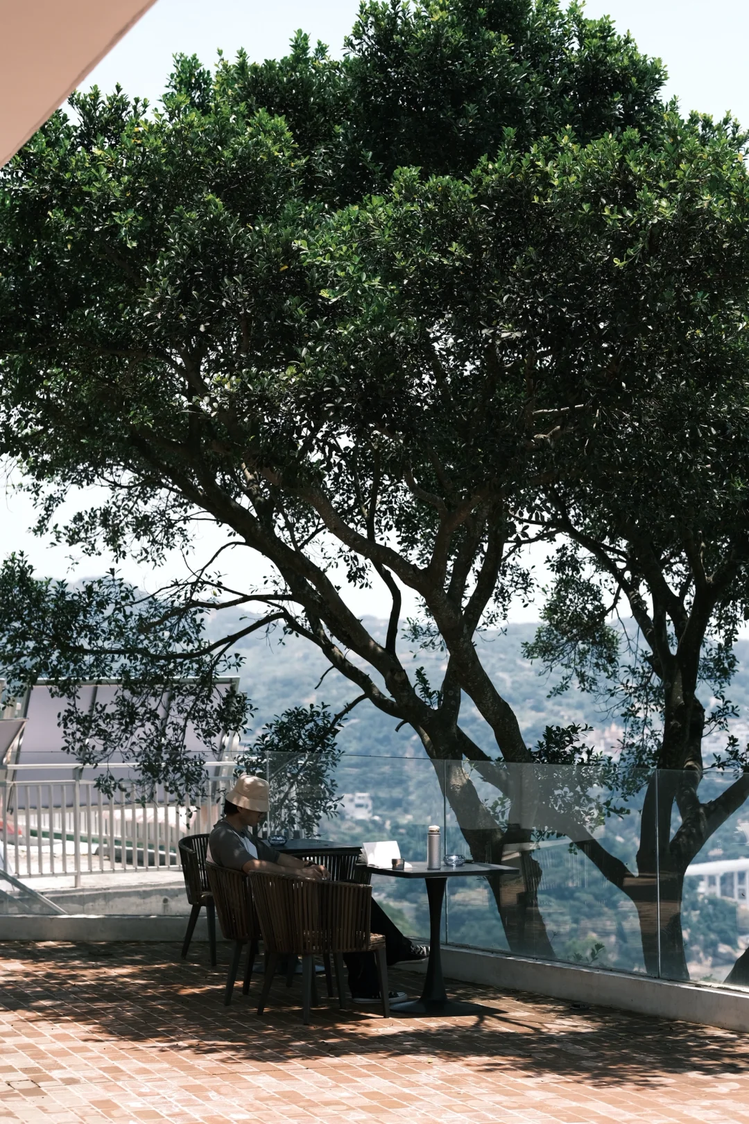 树下读书🌳