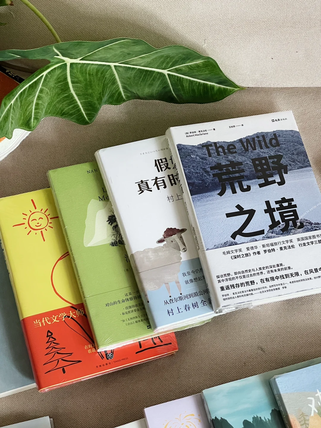 松弛感书单｜世界好像按了暂停键