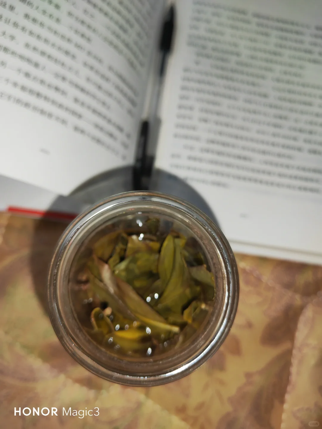 你不想获得自由吗？
