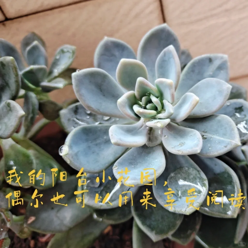我的读书博主第一个目标：实现纸质书自由