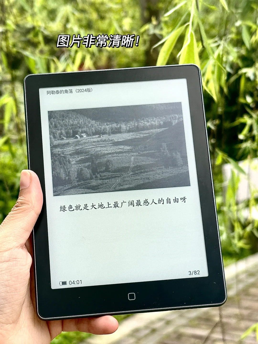 春天读书🍃怎么会有这么治愈的书啊！！