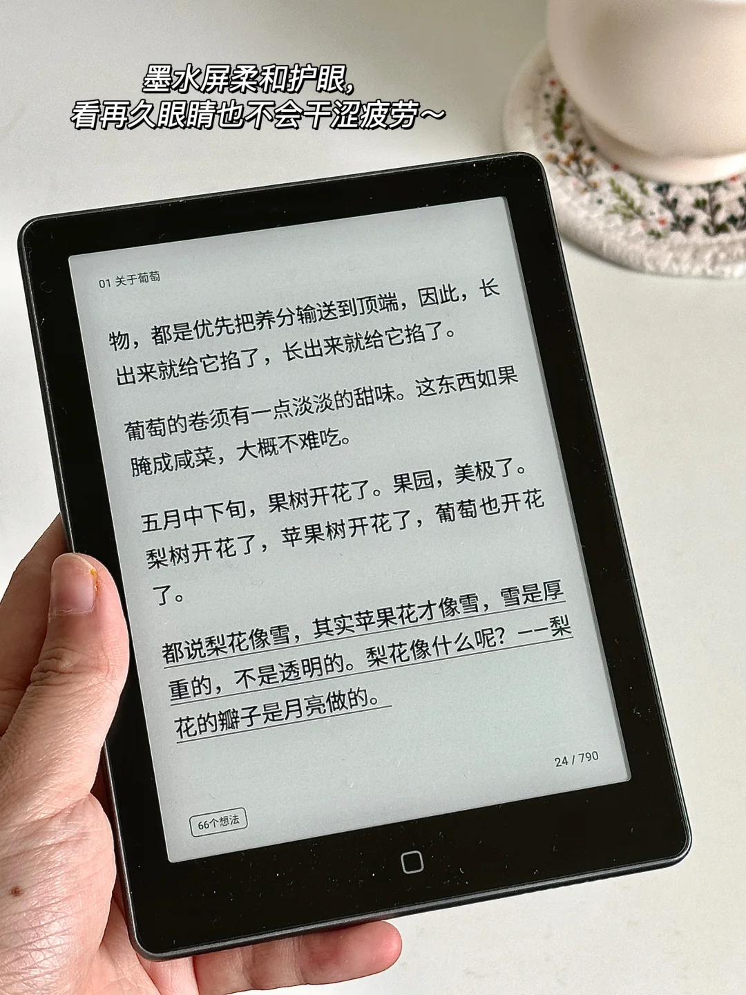 春天读书🍃怎么会有这么治愈的书啊！！