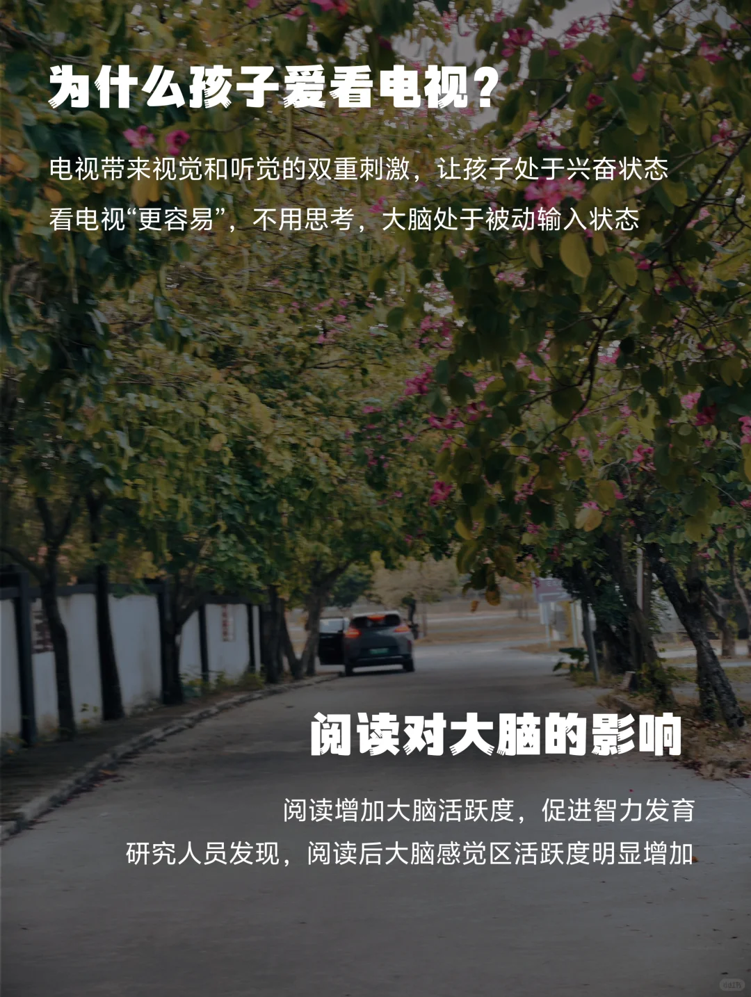 📚让孩子远离电子产品，爱上纸质书阅读！
