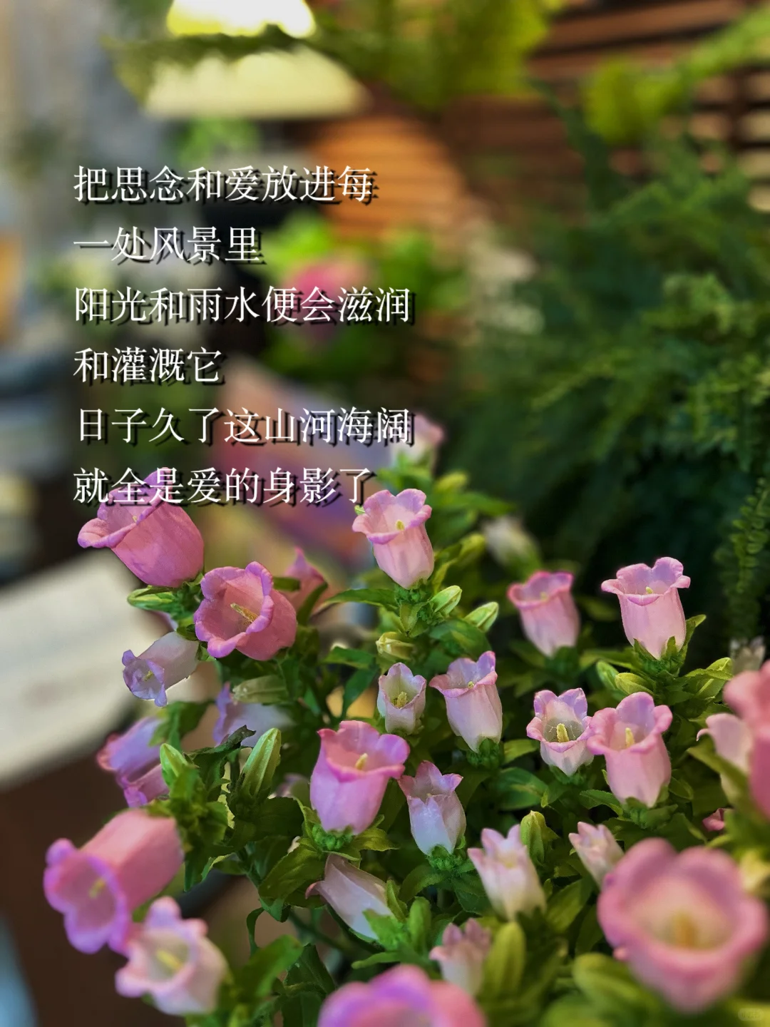 读书本就是自由的，人生处处是书页