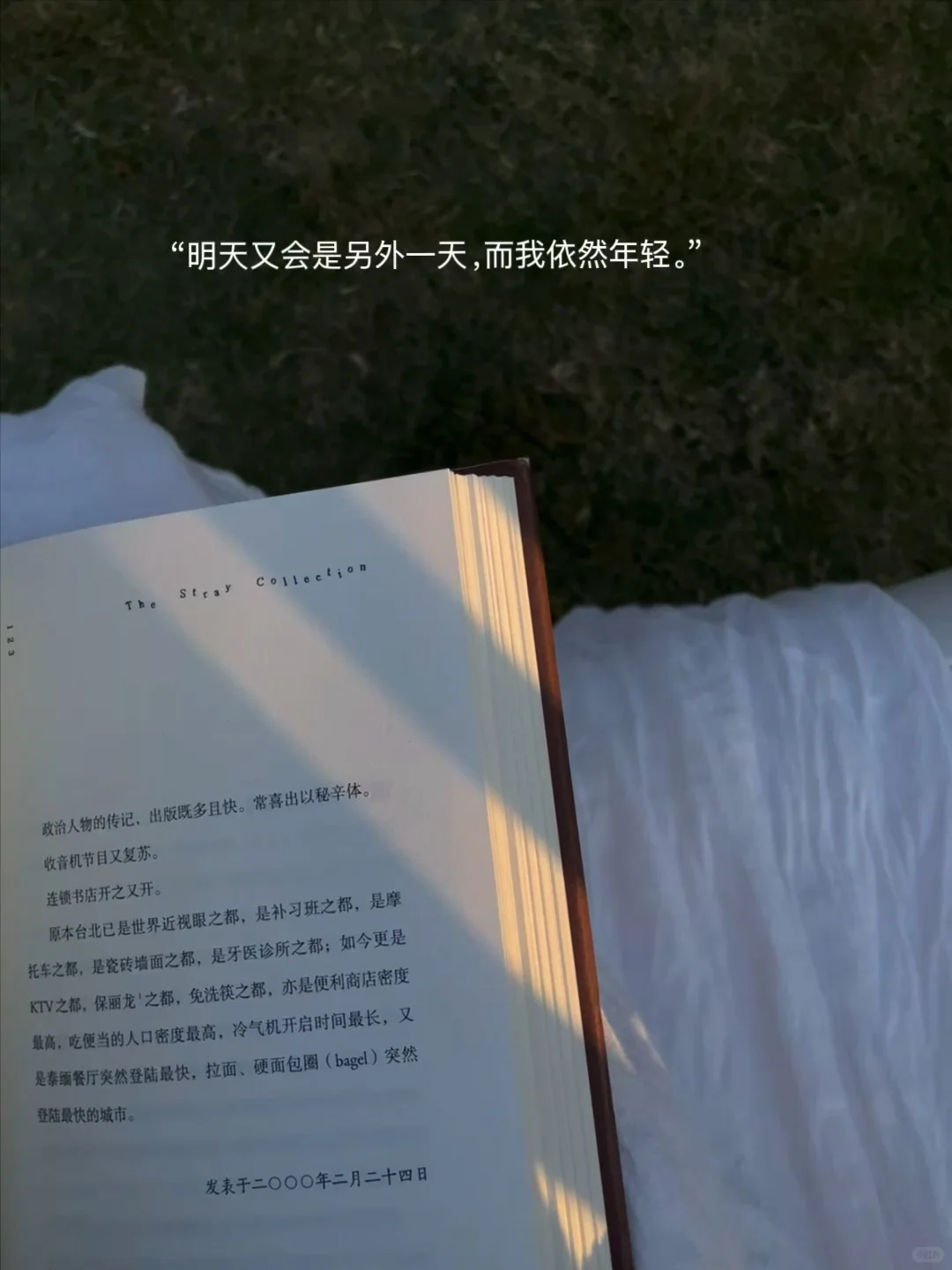 独自海边读书、幸福到有些眩晕