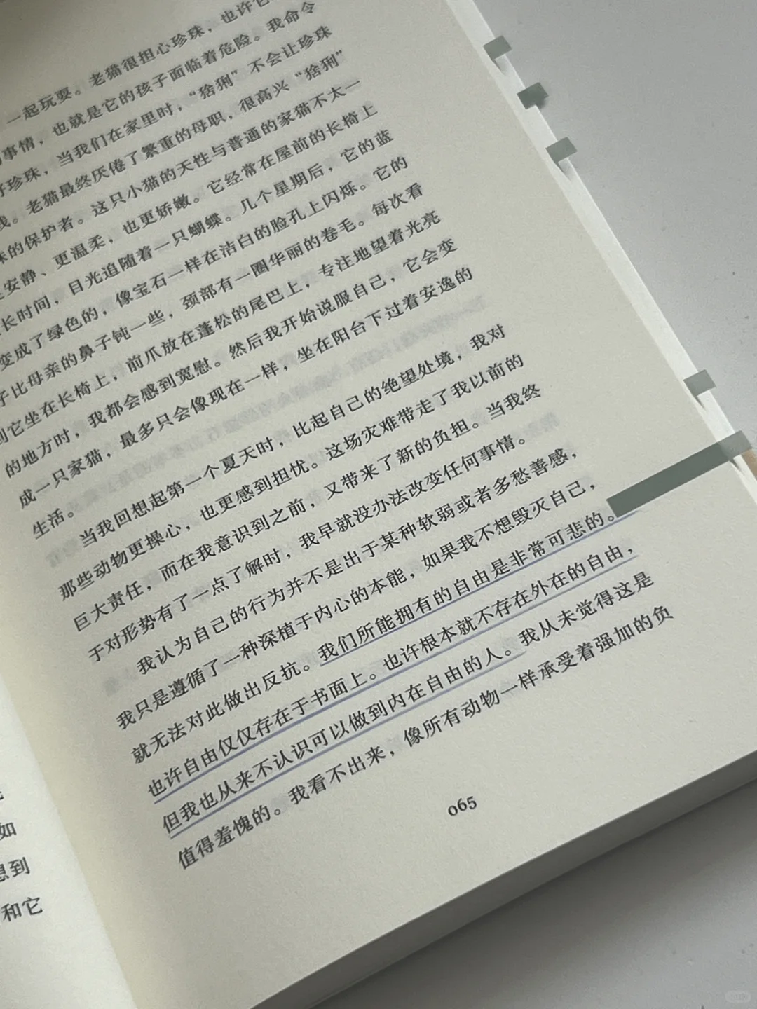 “我们所能拥有的自由是非常可悲的”