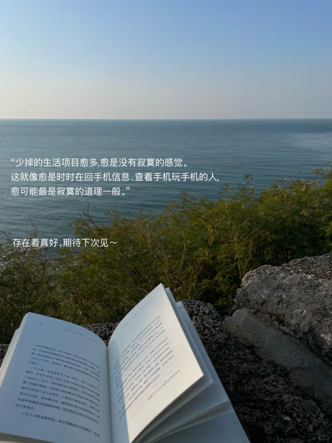 独自海边读书、幸福到有些眩晕