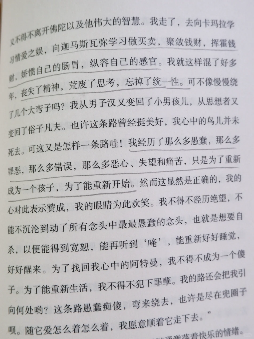 《悉达多》｜知识可以传授，但智慧不能