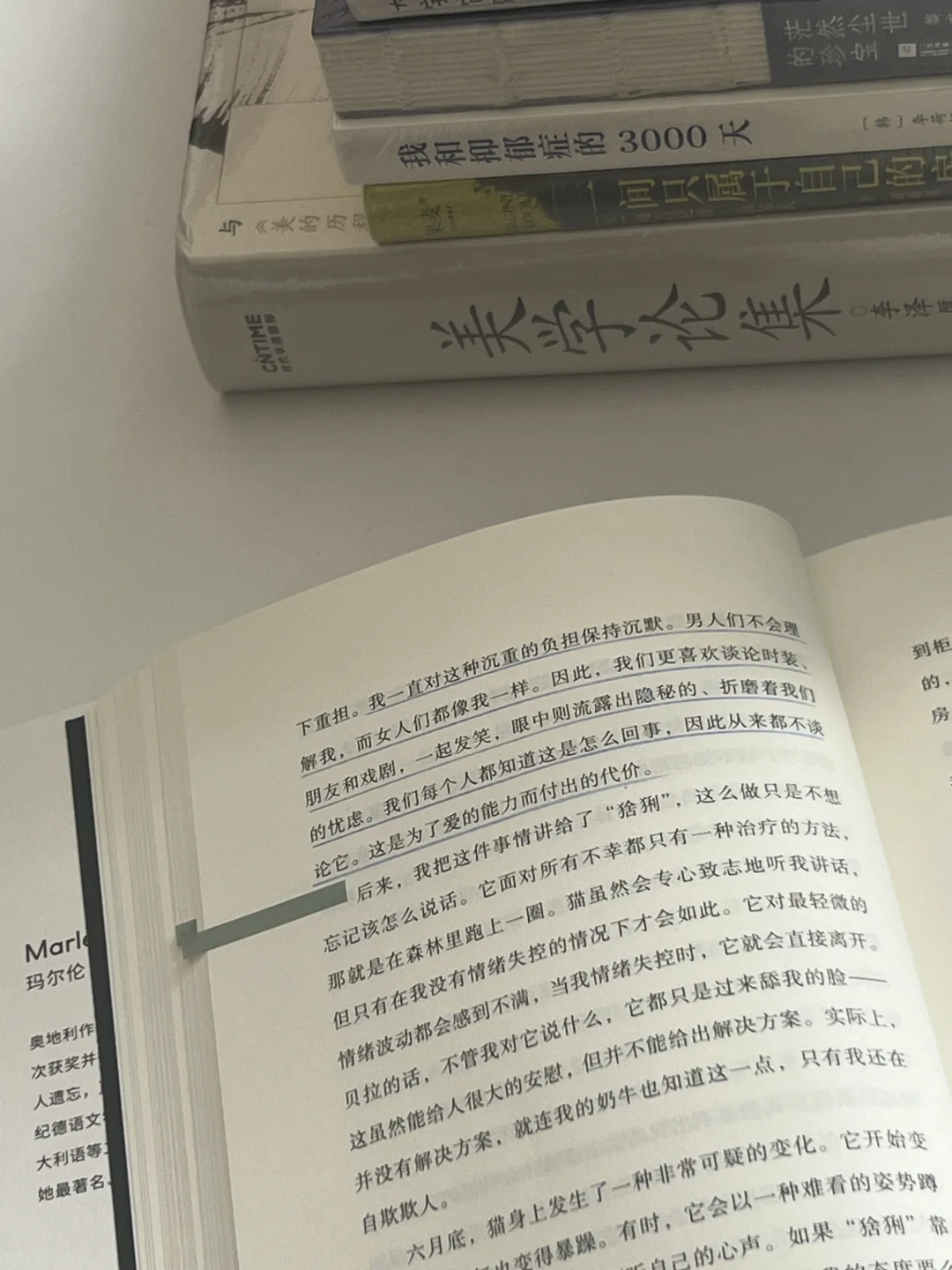 “我们所能拥有的自由是非常可悲的”