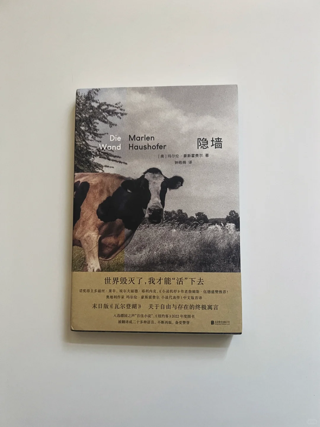 “我们所能拥有的自由是非常可悲的”