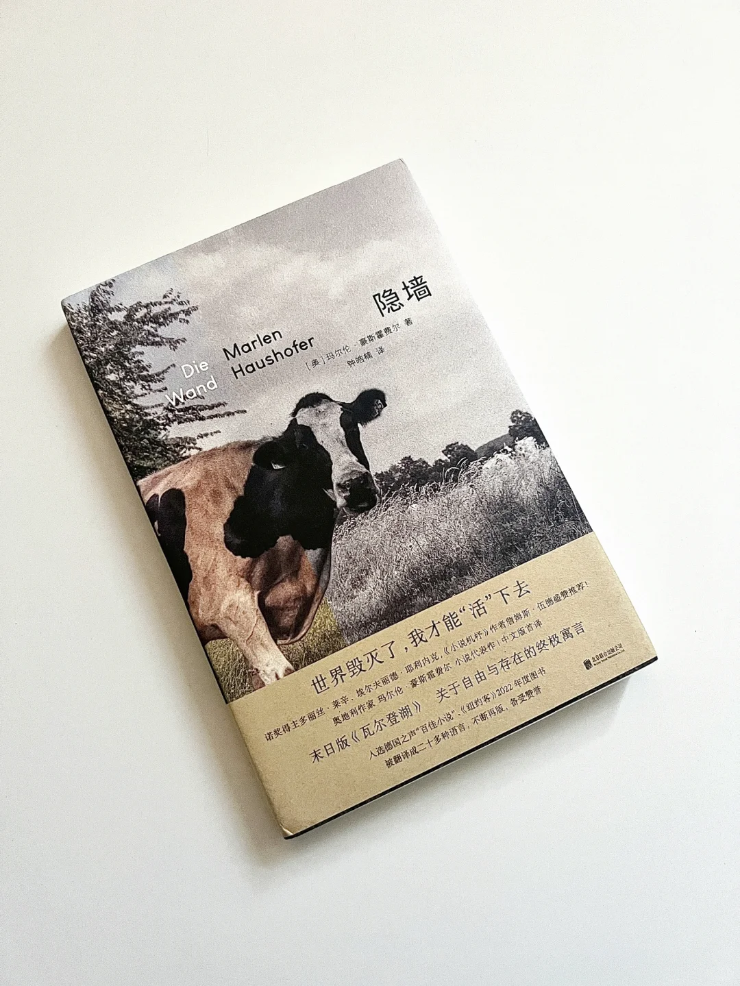 “我们所能拥有的自由是非常可悲的”