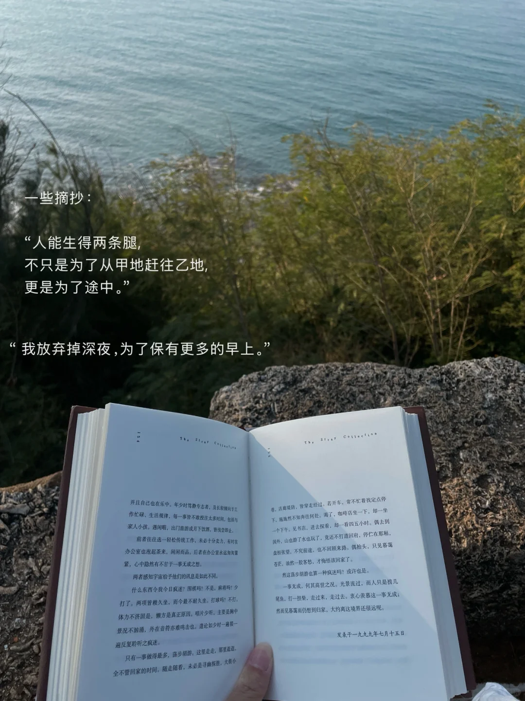 独自海边读书、幸福到有些眩晕