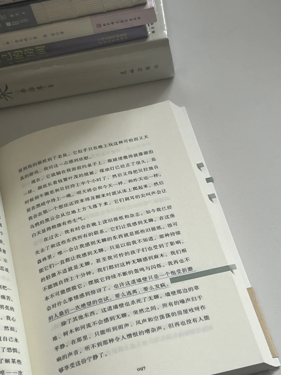 “我们所能拥有的自由是非常可悲的”