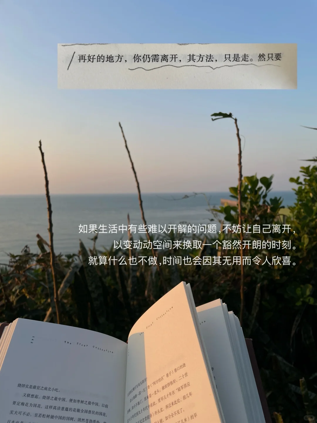 独自海边读书、幸福到有些眩晕