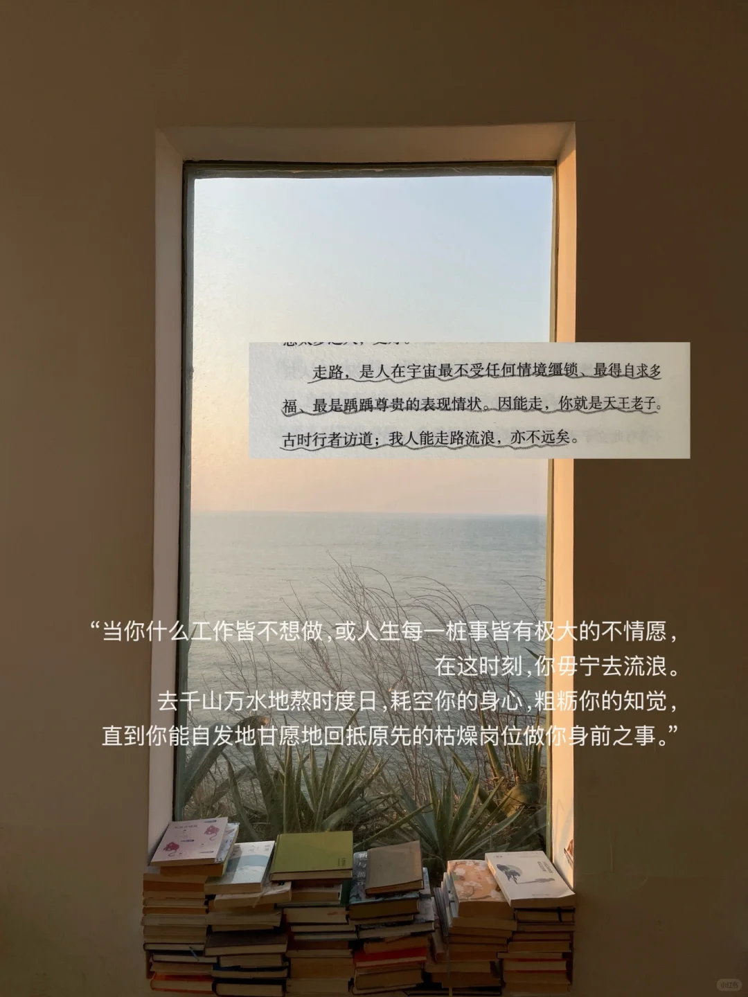 独自海边读书、幸福到有些眩晕