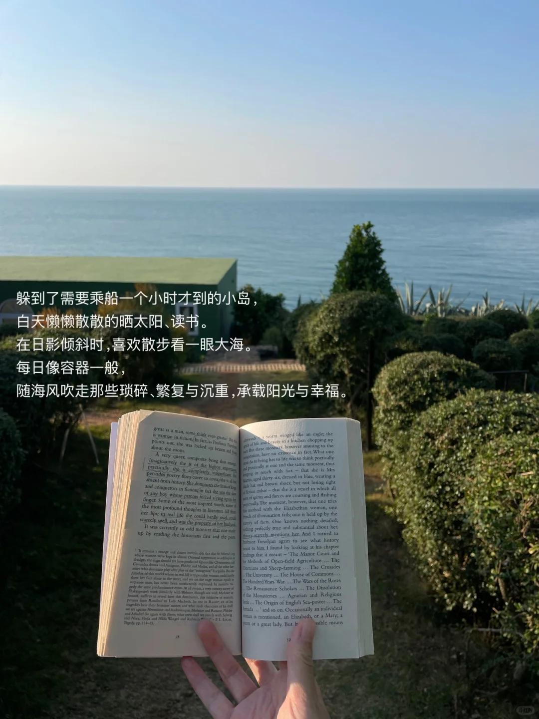 独自海边读书、幸福到有些眩晕