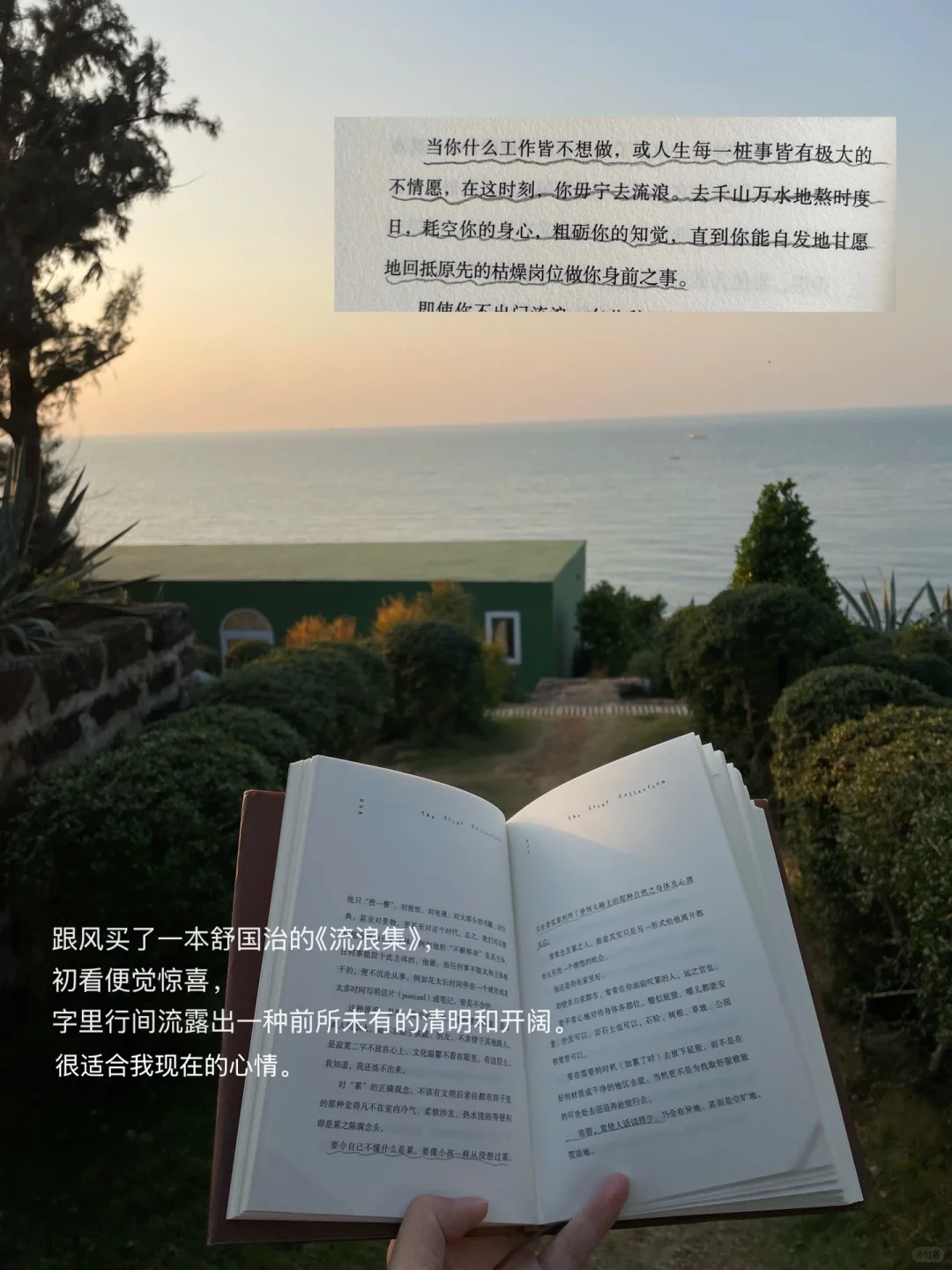 独自海边读书、幸福到有些眩晕