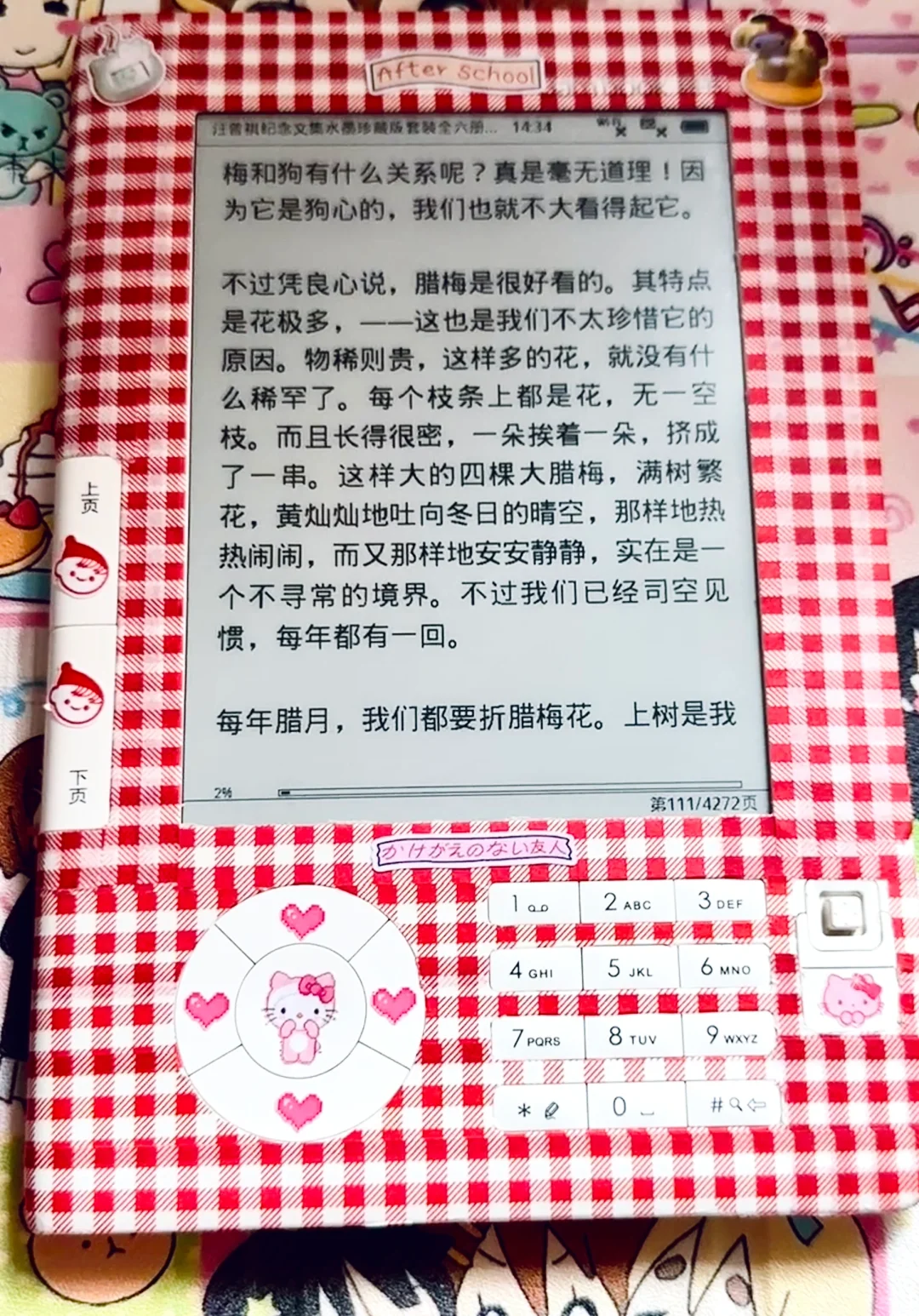 锦书新皮肤