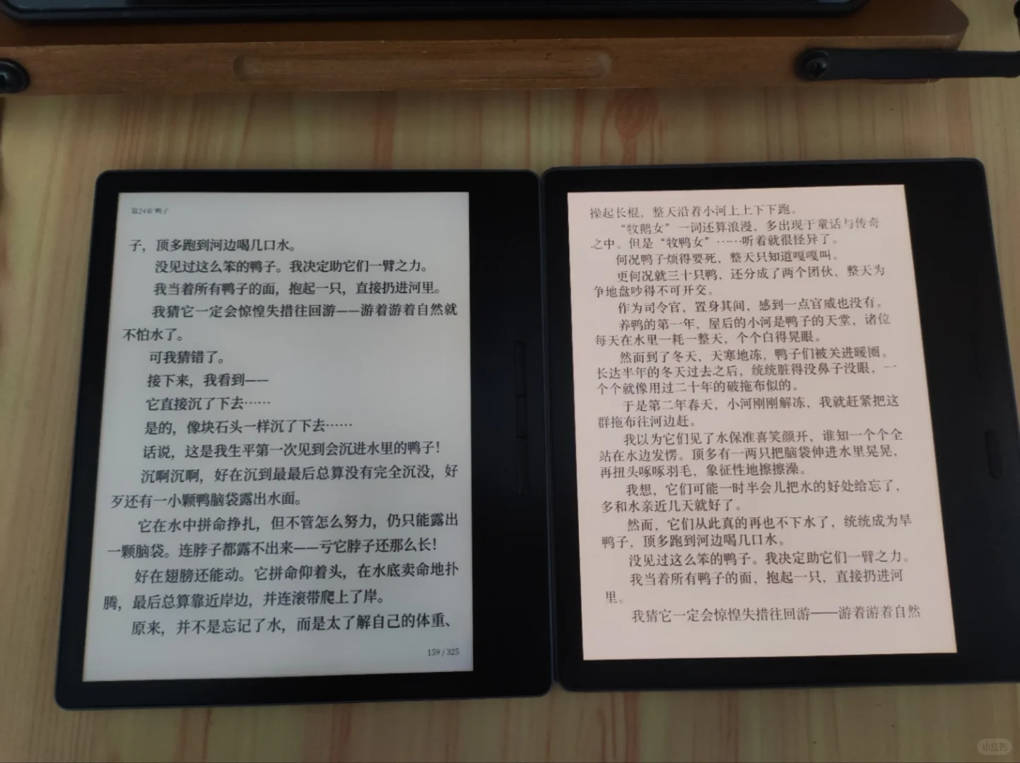 电子书📖重度用户