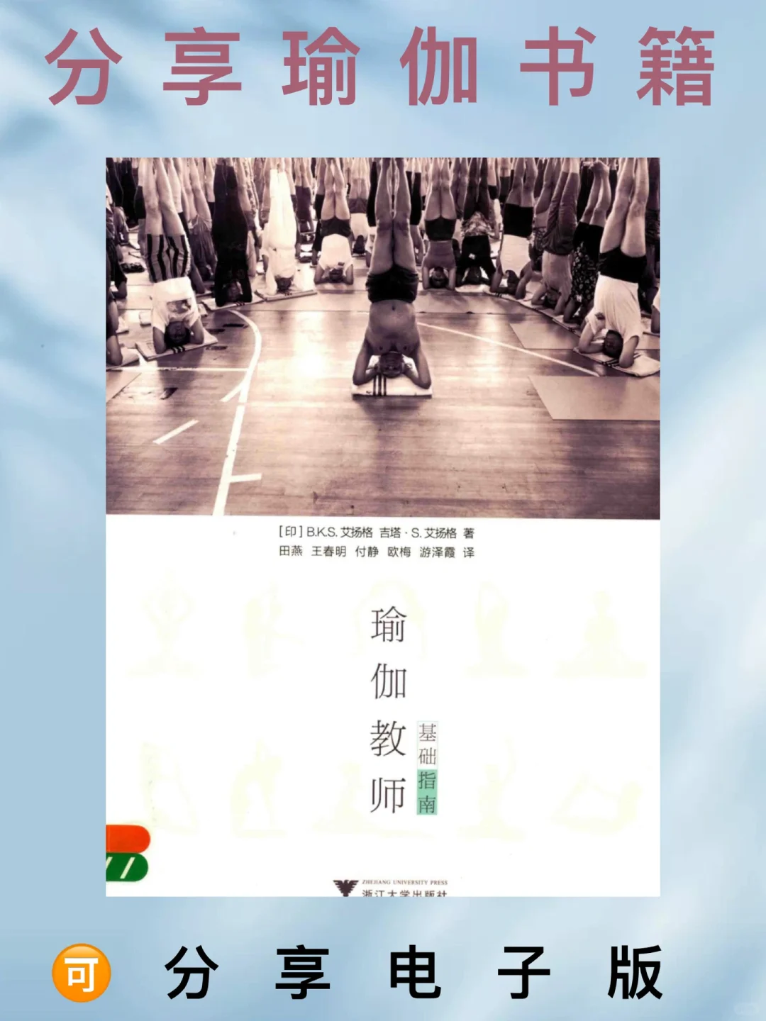 瑜伽教师基础指南📚可分享PDF电子书籍