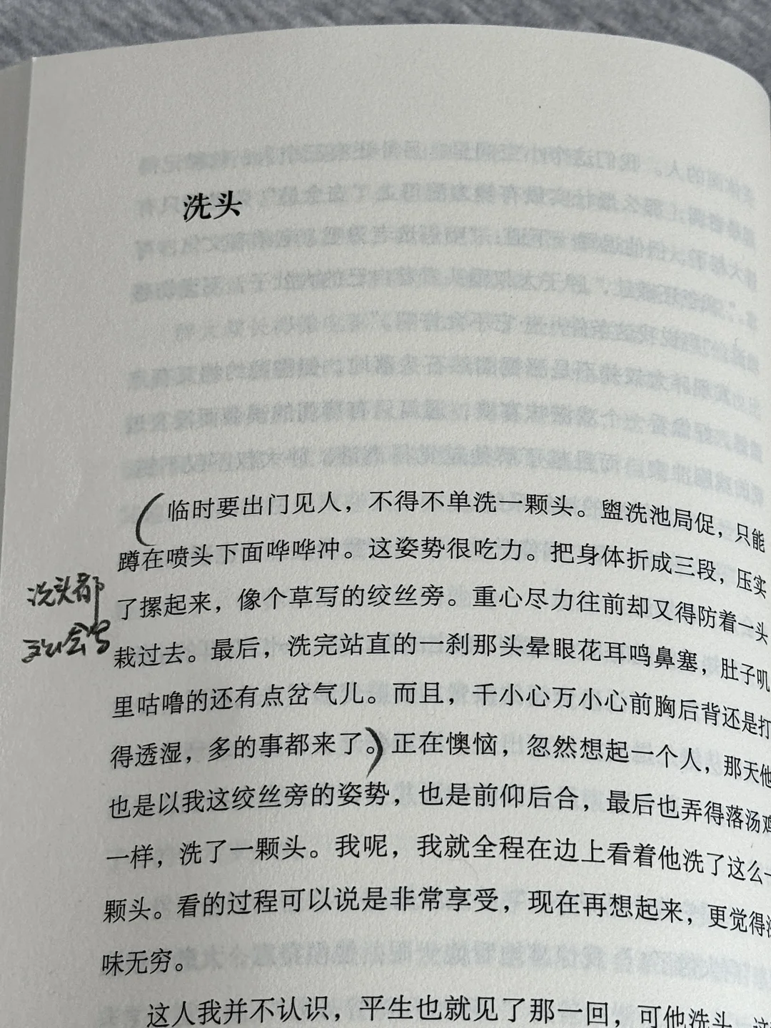 我愿称之为散文天花板！一字一句赚足了我的