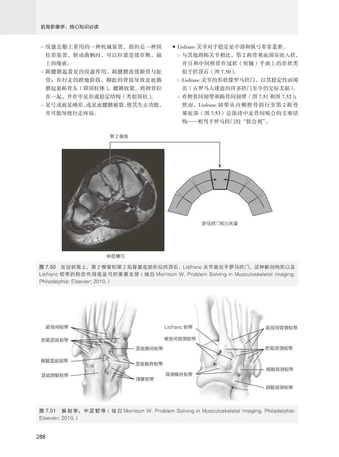 【PDF版】肌骨影像学核心知识必读第5版下载