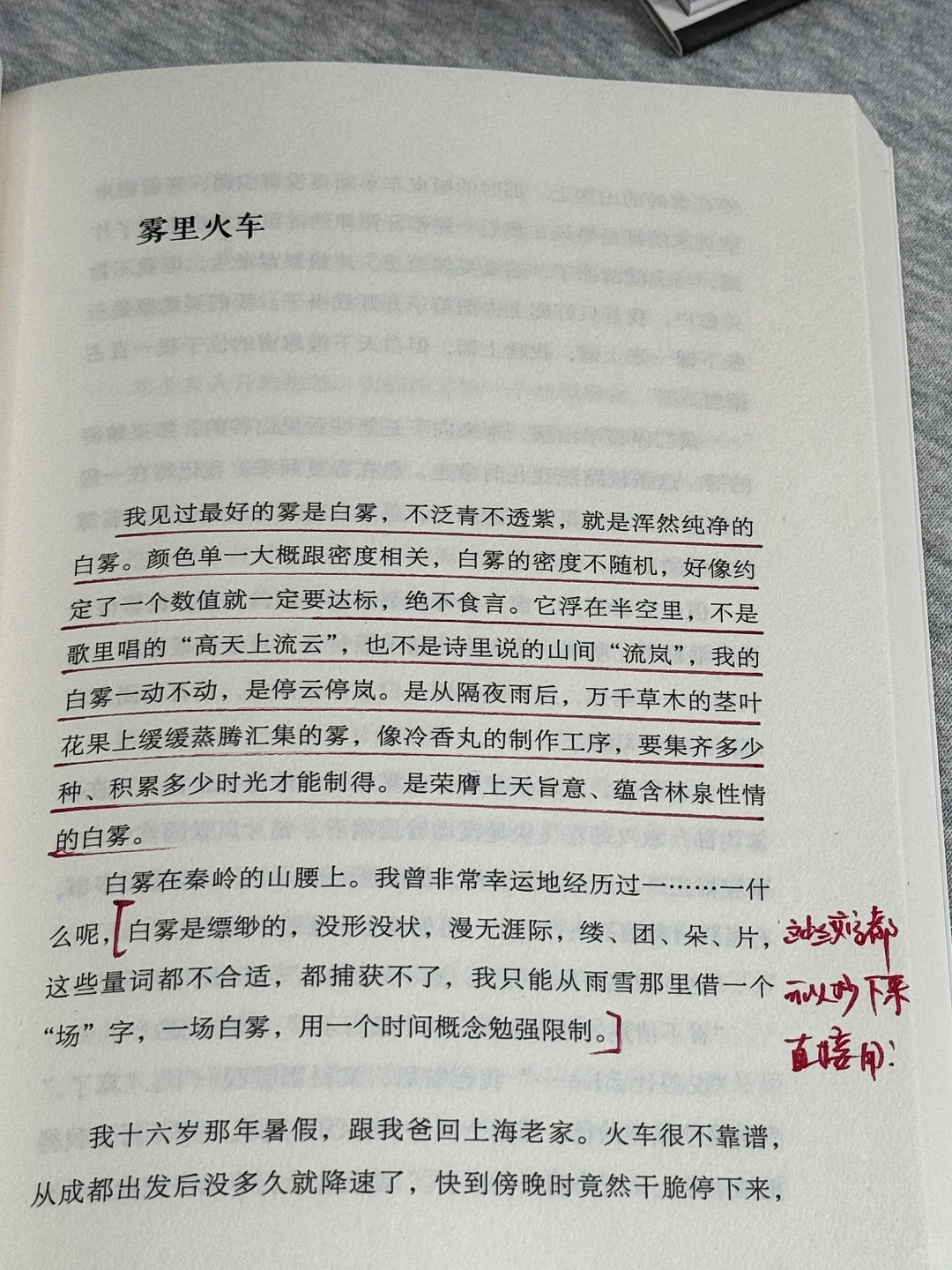 我愿称之为散文天花板！一字一句赚足了我的