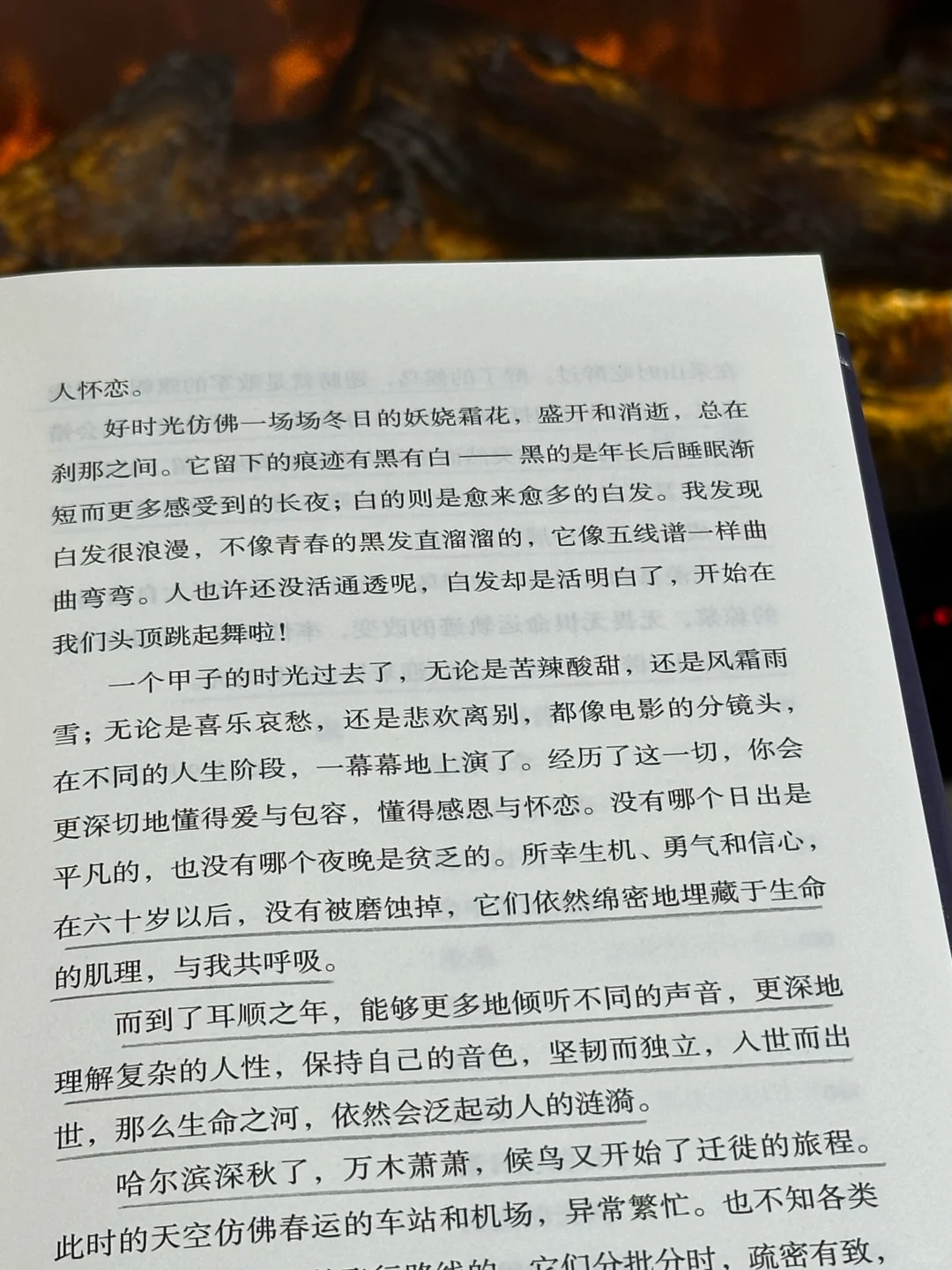 我的年度书单！！提升文笔一定要翻烂这本书！！