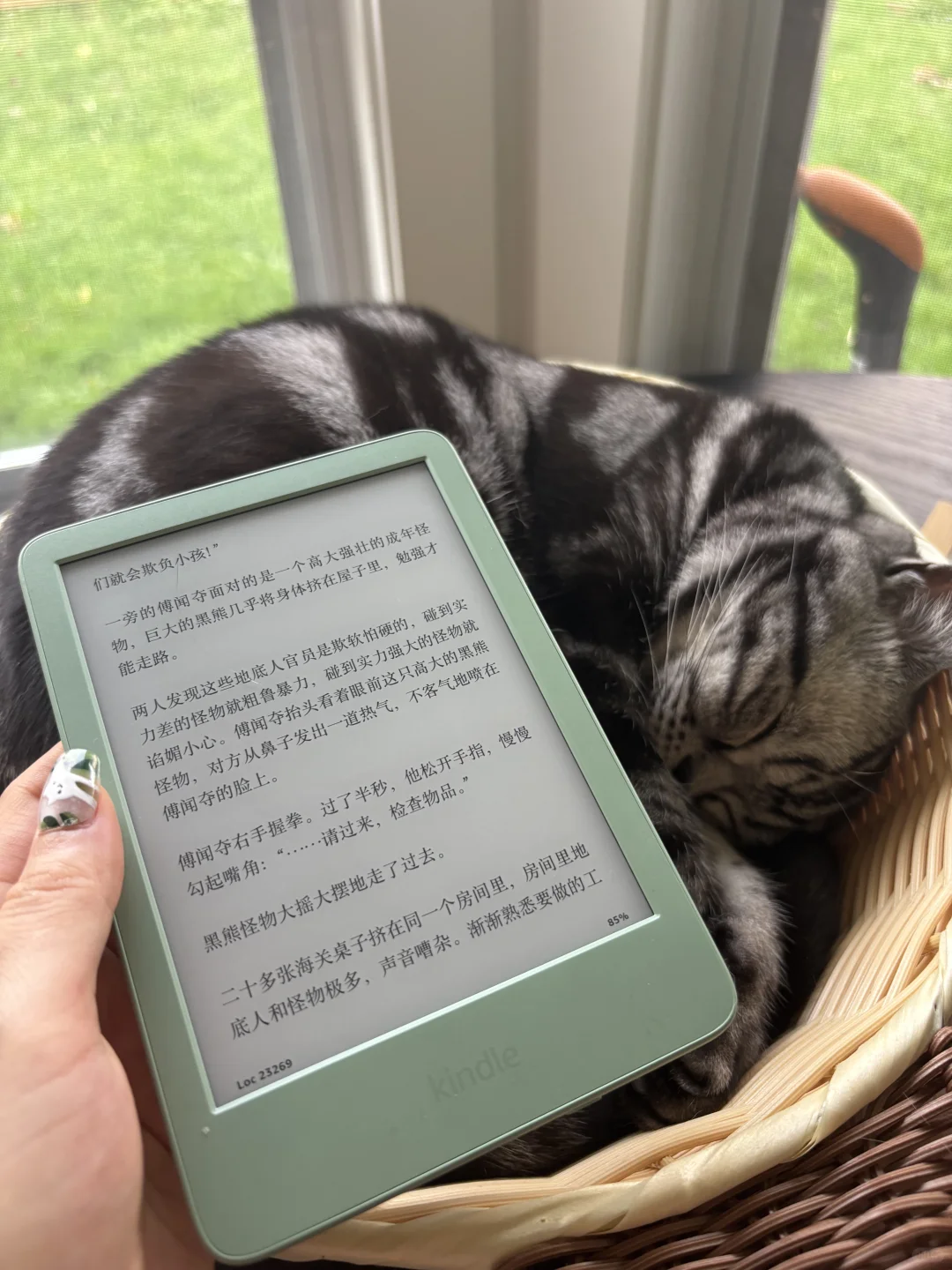 Kindle 7代pw换到11代小绿我快乐吗