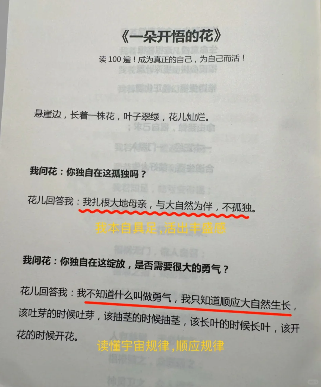 心灵疗愈必备❗答应我一定要读烂这本书❗