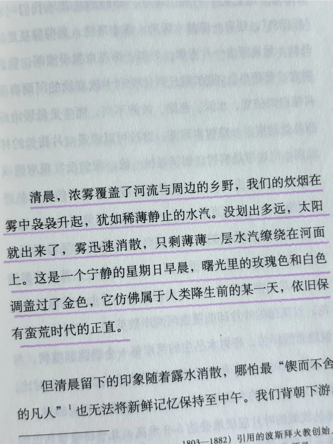 全书摘抄！好唯美的文笔啊啊啊啊啊啊😭