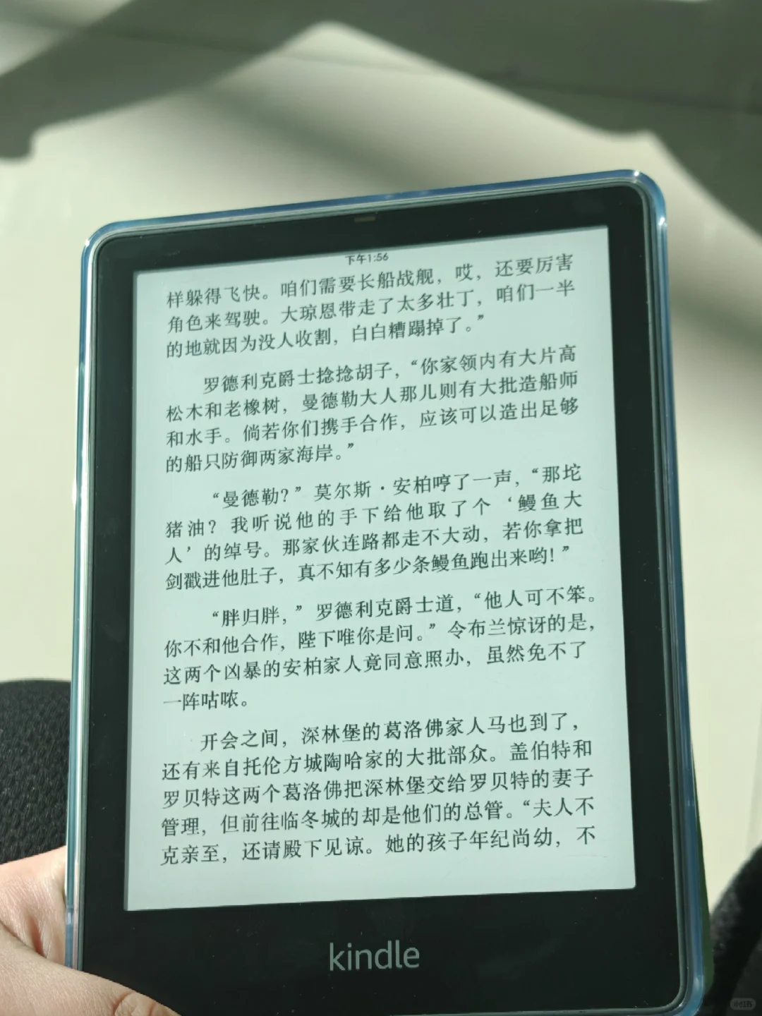 我被kindle下蛊了