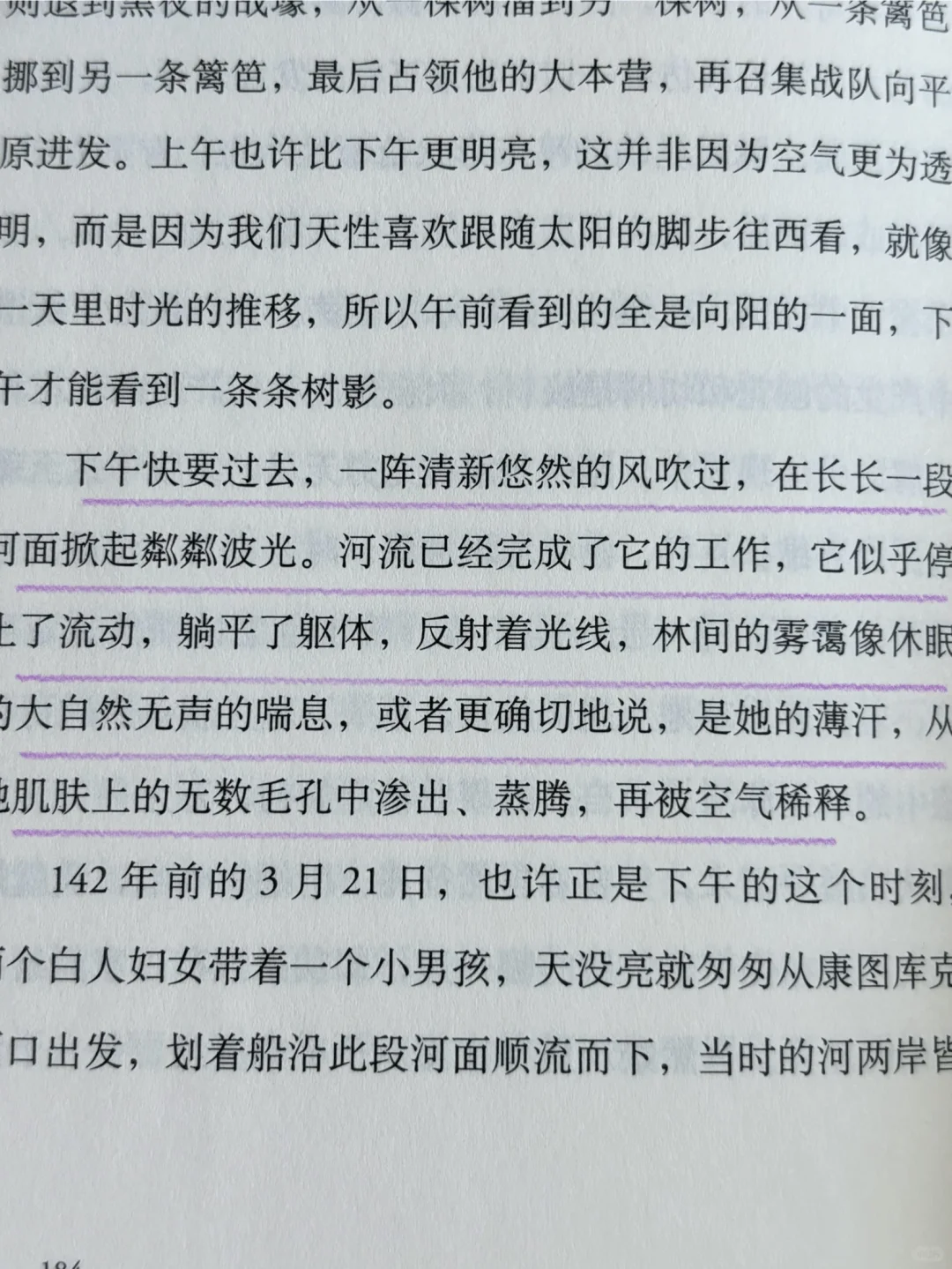 全书摘抄！好唯美的文笔啊啊啊啊啊啊😭