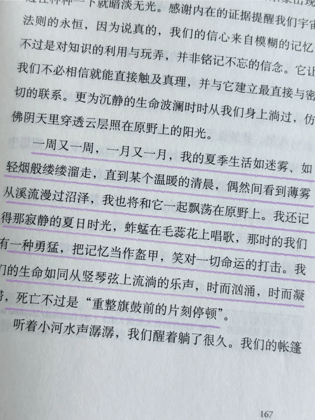 全书摘抄！好唯美的文笔啊啊啊啊啊啊😭