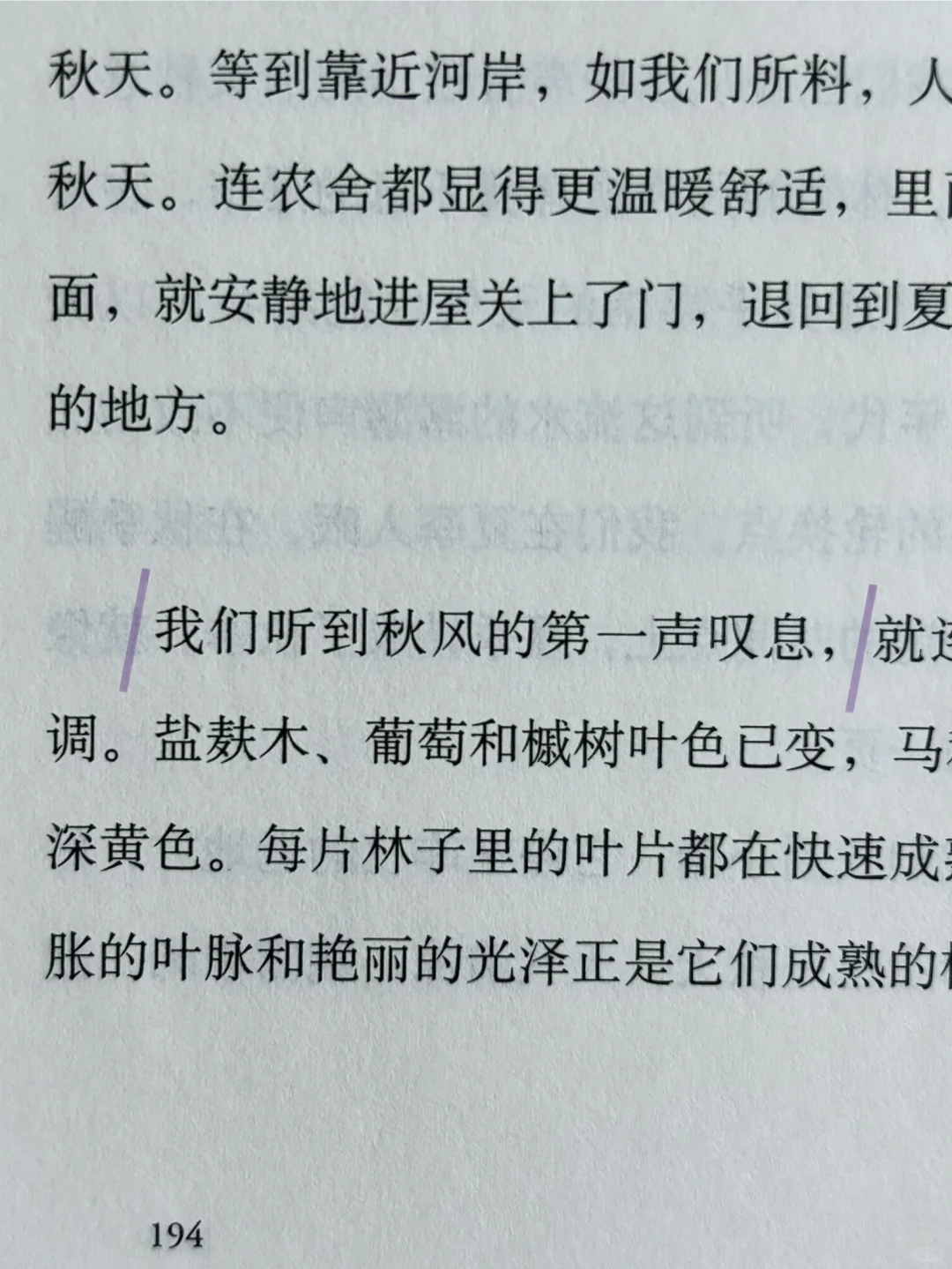 全书摘抄！好唯美的文笔啊啊啊啊啊啊😭